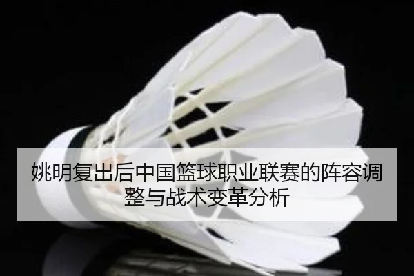 姚明复出后中国篮球职业联赛的阵容调整与战术变革分析