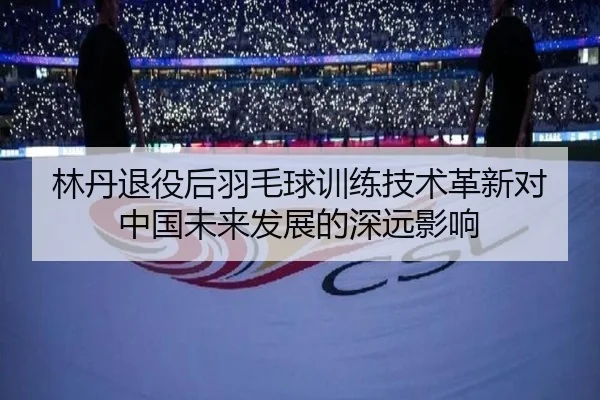 林丹退役后羽毛球训练技术革新对中国未来发展的深远影响