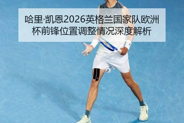ha-li-kai-en-ying-ge-lan-guo-jia-dui-ou-zhou-bei-qian-feng-wei-zhi-tiao-zheng-qing-kuang-shen-du-jie-xi-2-419.jpg