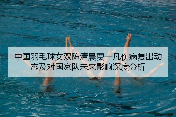 中国羽毛球女双陈清晨贾一凡伤病复出动态及对国家队未来影响深度分析
