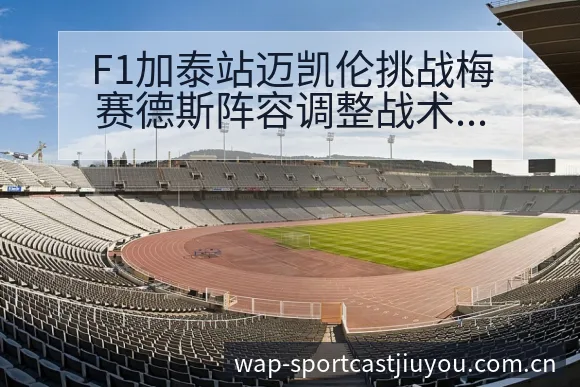 F1加泰站迈凯伦挑战梅赛德斯阵容调整战术价值深度分析 - 九游体育