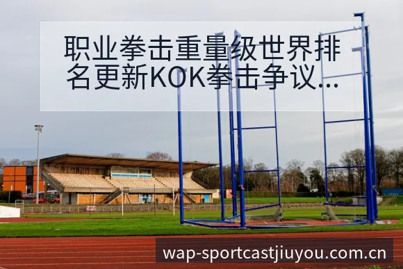 职业拳击重量级世界排名更新KOK拳击争议焦点风险观察 - 九游体育