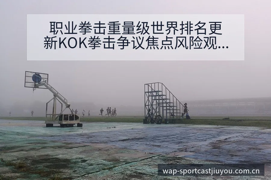 职业拳击重量级世界排名更新KOK拳击争议焦点风险观察 - 九游体育